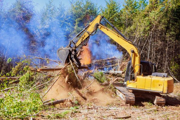 Tulsa Land Clearing